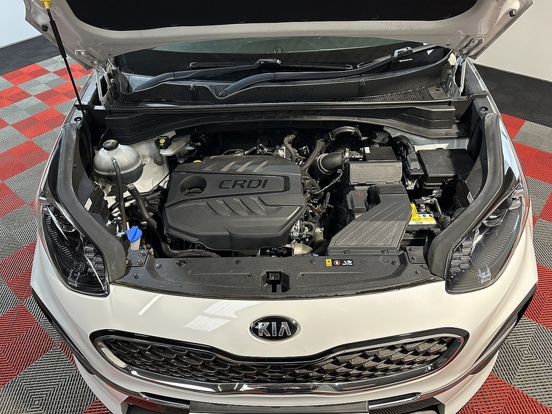 Kia Sportage CRDi MHEV 3 - U1304