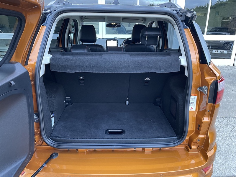 Ford 1.0T EcoBoost ST-Line SUV 5dr Petrol Manual Euro 6 (s/s) (125 ps)