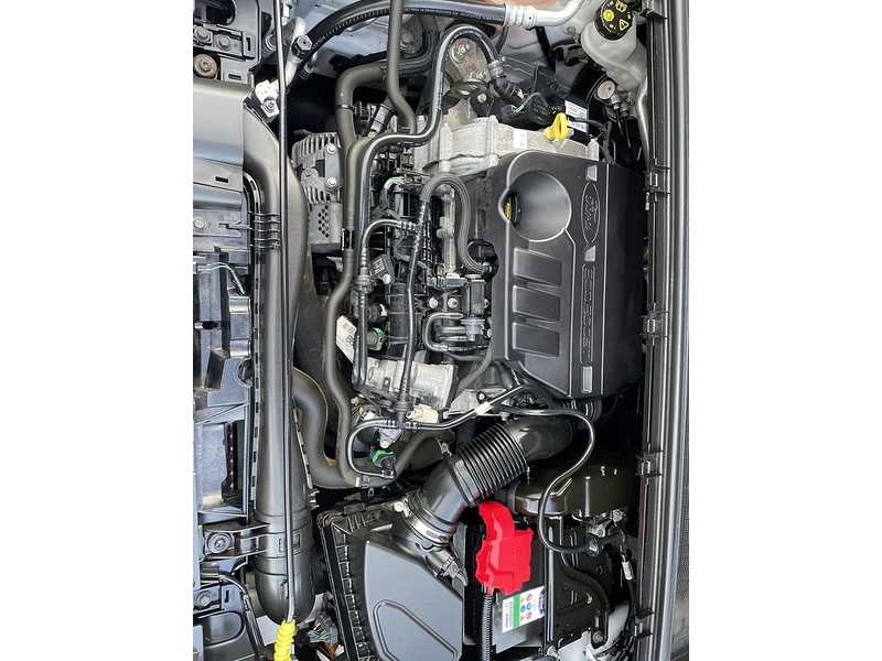 Ford 1.0T EcoBoost MHEV ST-Line X SUV 5dr Petrol Manual Euro 6 (s/s) (125 ps)