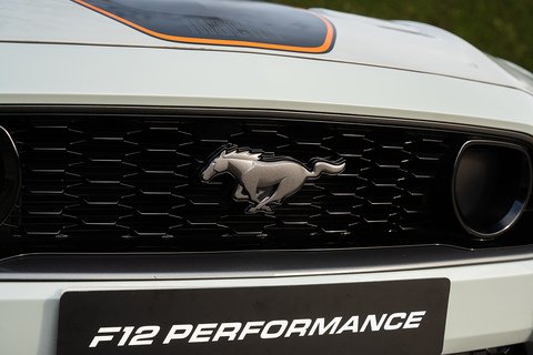 5.0 V8 Mach 1 Fastback 2dr Petrol SelShift Euro 6 (460 ps)