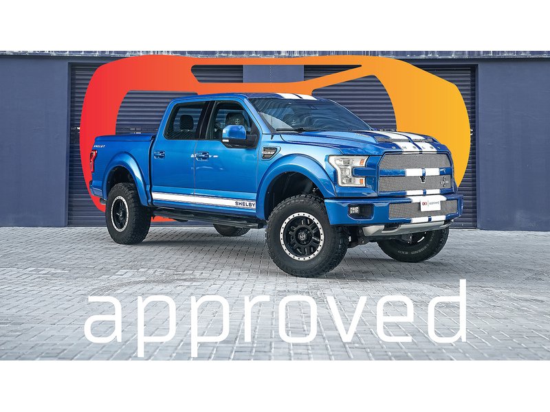 Ford Shelby Supercharged 750HP 5 4dr Pick Up Automatic Petrol
