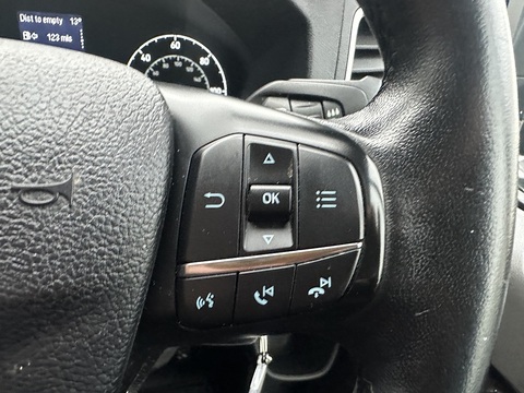 2.0 280 EcoBlue Limited Panel Van 5dr Diesel Manual L1 H1 Euro 6 (s/s) (130 ps)