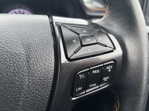 2.0 EcoBlue Wildtrak Pickup Double Cab 4dr Diesel Auto 4WD Euro 6 (s/s) (213 ps)