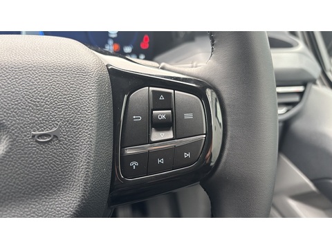 2.0 280 EcoBlue Limited Panel Van 5dr Diesel Manual L1 H1 Euro 6 (s/s) (136 ps)