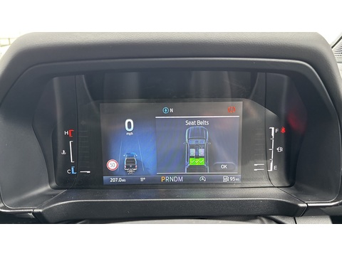 2.0 TD EcoBlue Wildtrak Pickup Double Cab 4dr Diesel Auto 4WD Euro 6 (s/s) (205 ps)