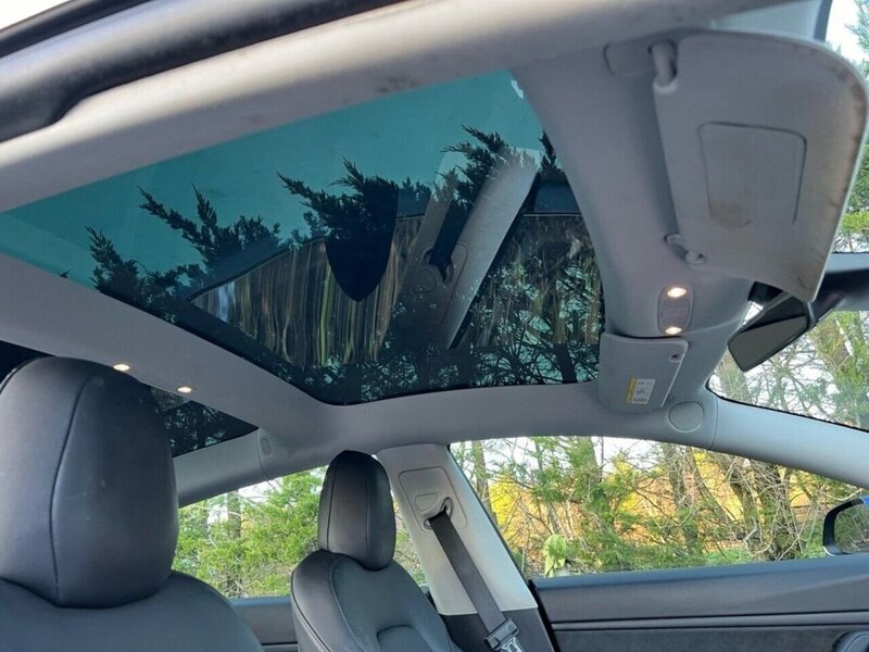 Tesla Model 3 Standard Range Plus - U10046