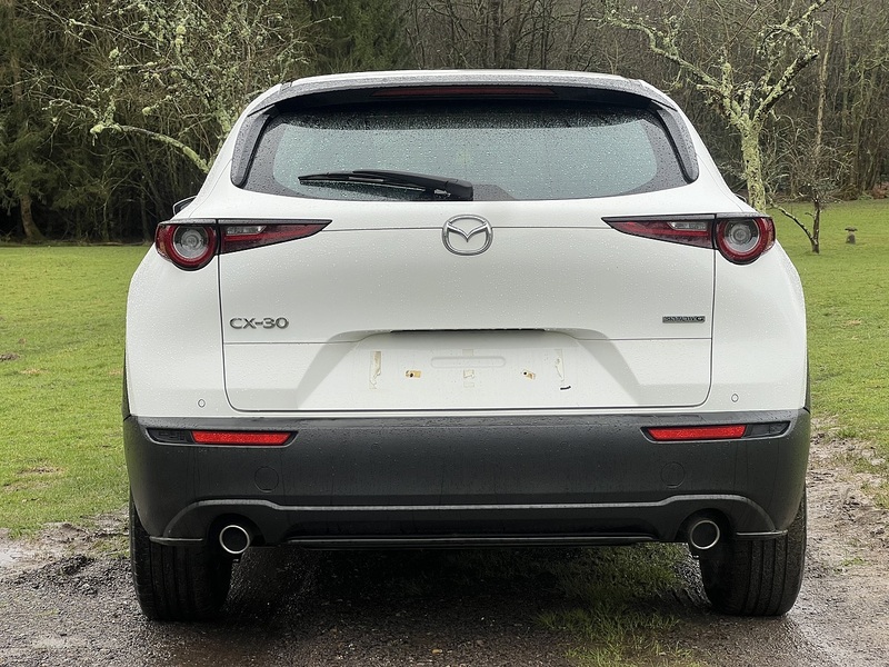 Mazda CX-30 2.0 SKYACTIV-G MHEV SE-L SUV 5dr Petrol Manual Euro 6 (s/s) (122 ps) SUV Manual Petrol | 1 FORMER - U10696