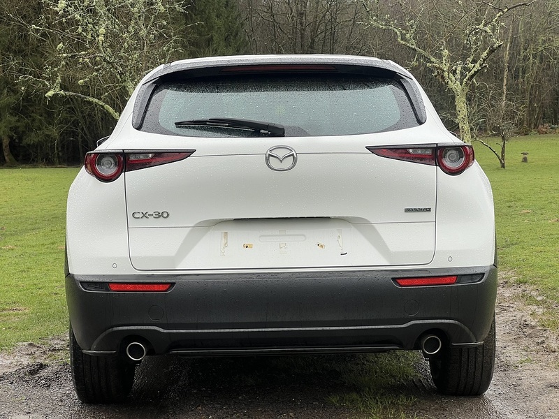 Mazda CX-30 2.0 SKYACTIV-G MHEV SE-L SUV 5dr Petrol Manual Euro 6 (s/s) (122 ps) SUV Manual Petrol | 1 FORMER - U10696