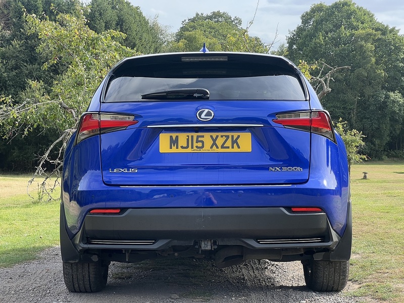 Lexus NX 300h F Sport - U11310