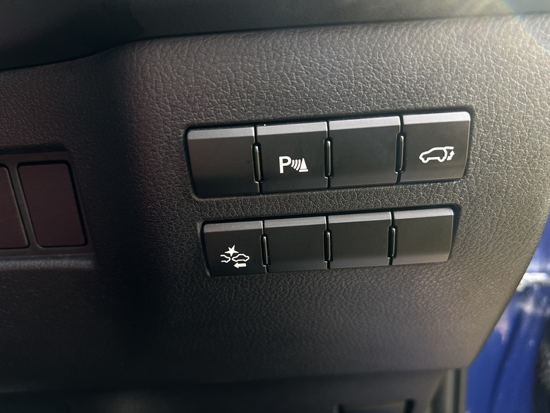Lexus NX 300h F Sport - U11310