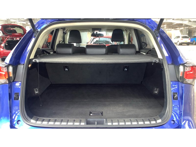 Lexus NX 300h Luxury - U11399