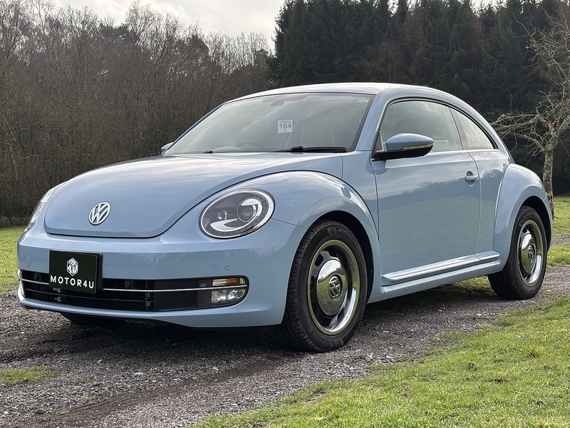 Volkswagen Beetle  - U11530