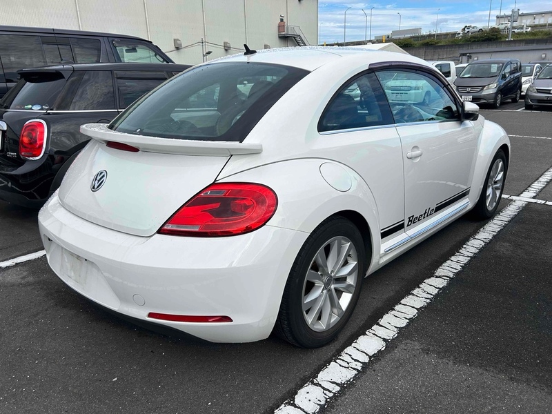 Volkswagen Beetle Design Leather Package - U11656