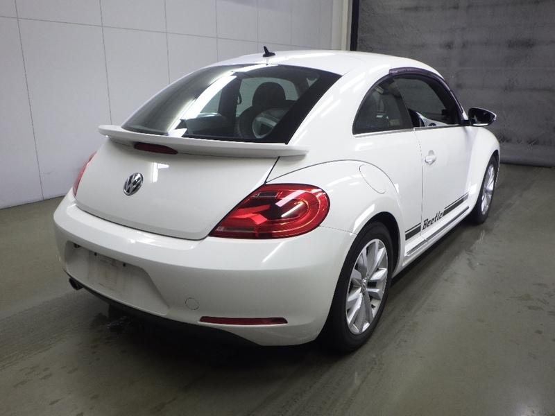 Volkswagen Beetle Design Leather Package - U11656