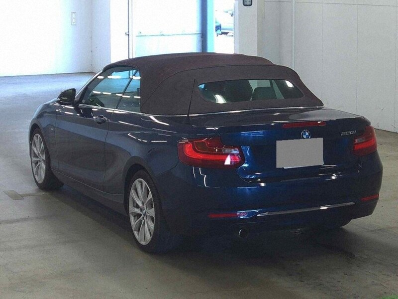 BMW 2 Series 220I Luxury - U12267