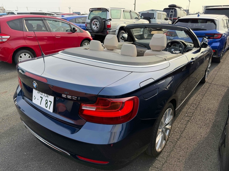 BMW 2 Series 220I Luxury - U12267