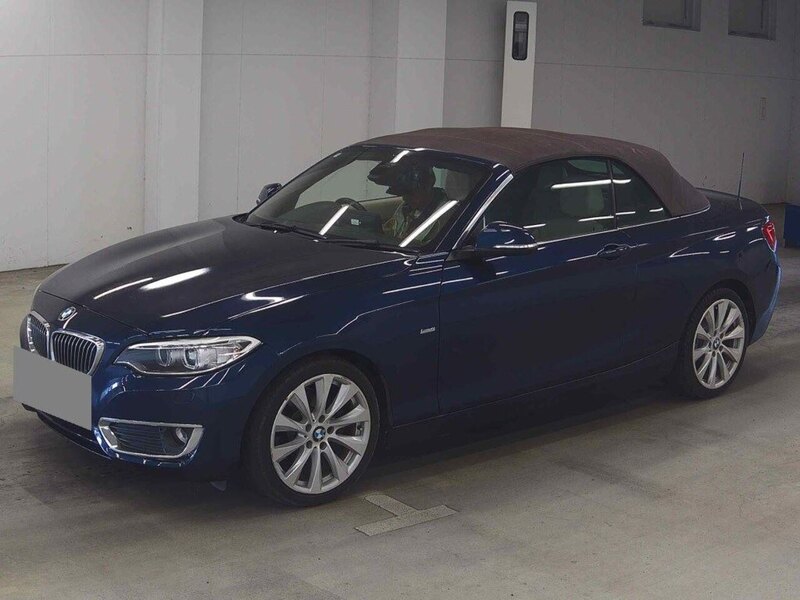 BMW 2 Series 220I Luxury - U12267