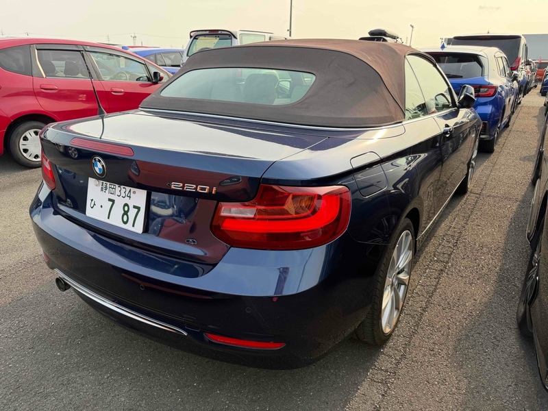 BMW 2 Series 220I Luxury - U12267