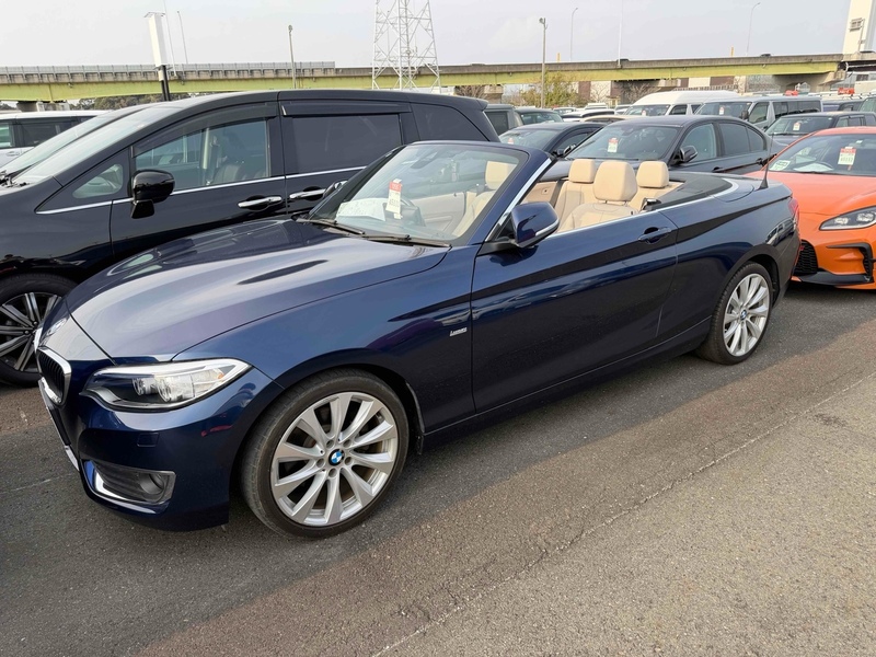 BMW 2 Series 220I Luxury - U12267
