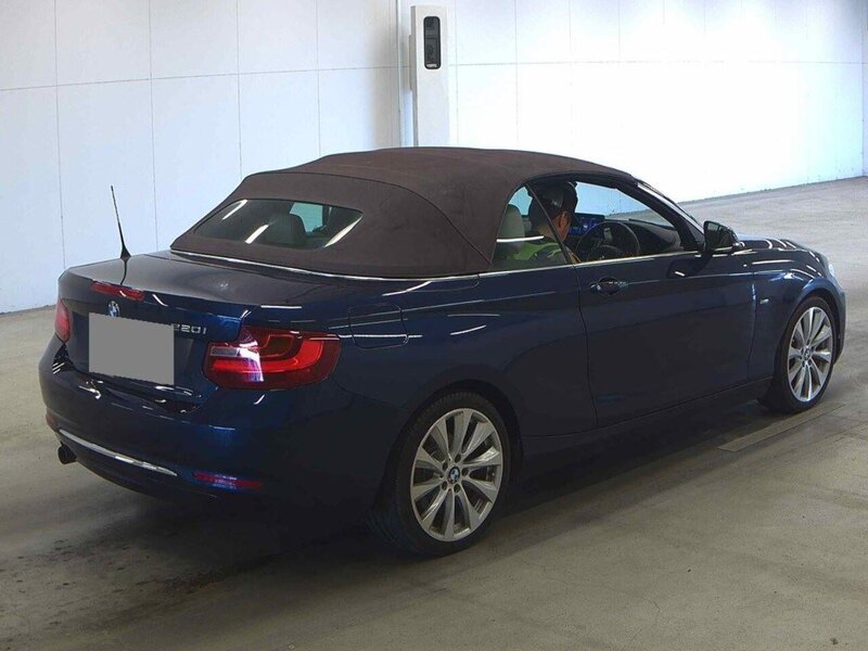 BMW 2 Series 220I Luxury - U12267