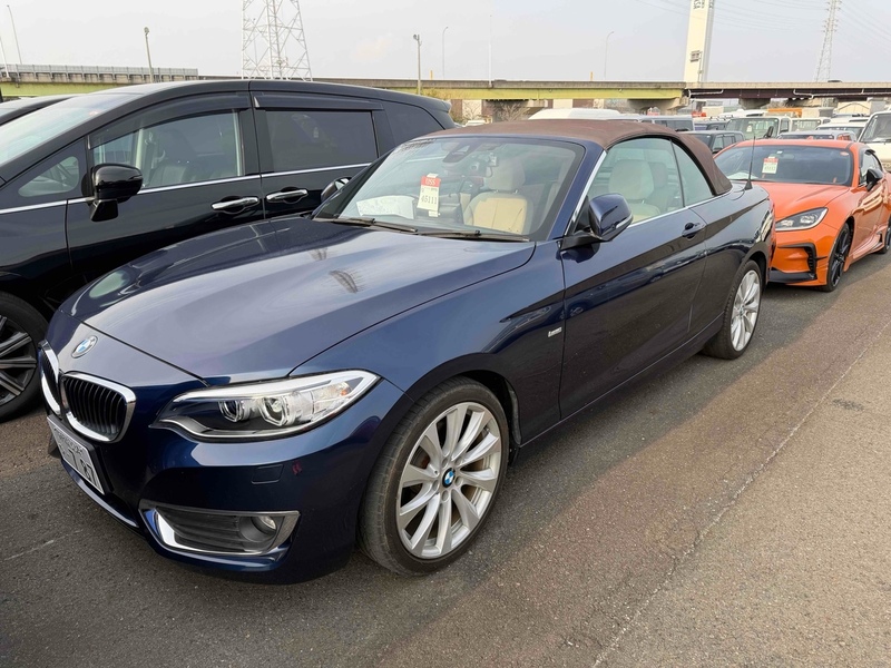 BMW 2 Series 220I Luxury - U12267