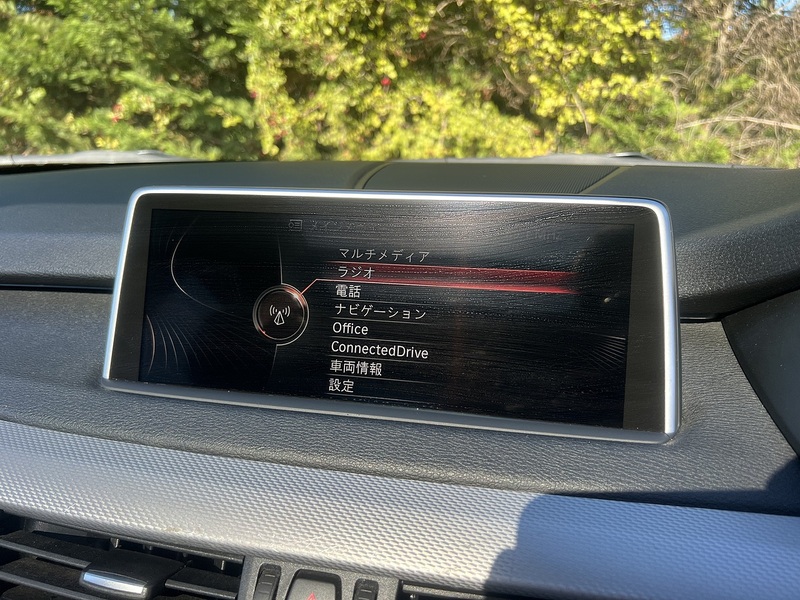 BMW X5 Xdrive30d M Sport - U12395