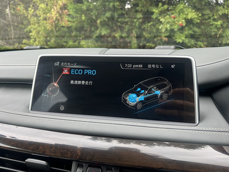 BMW X5 Xdrive35d X Line - U12474