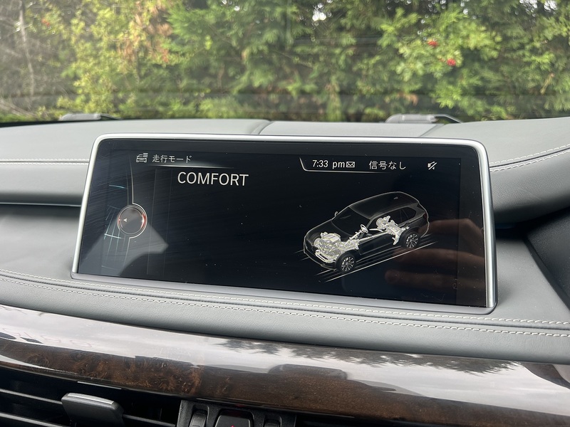 BMW X5 Xdrive35d X Line - U12474