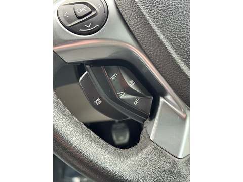 Terrier Ford Tourneo Custom 300 2.2 TDCi Trend 155ps