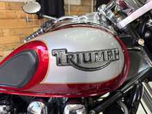 Triumph Bonneville America  