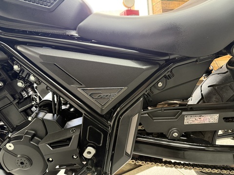 125 Custom Cruiser