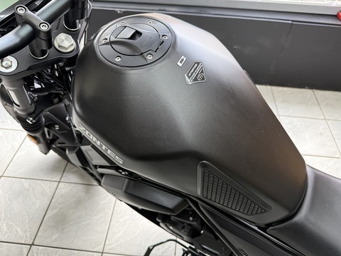 125 Custom Cruiser