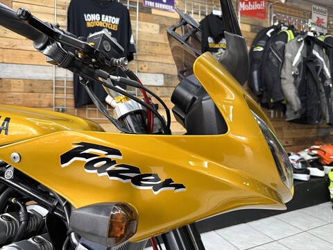 FZS600