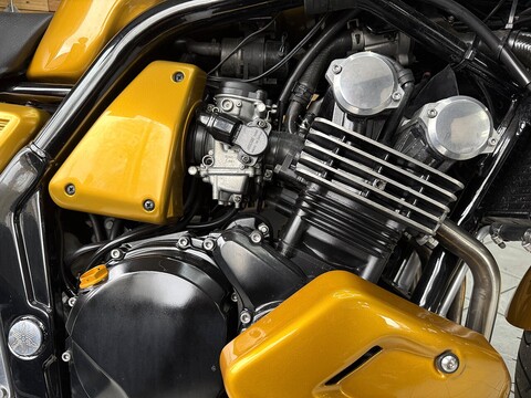 FZS600