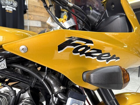 FZS600