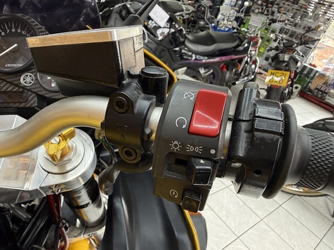 FZS600
