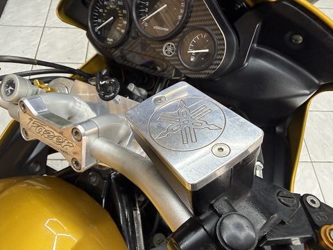 FZS600