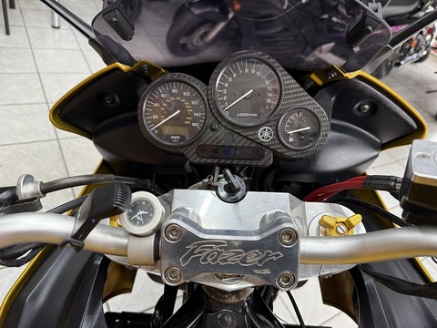 FZS600