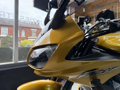 FZS600