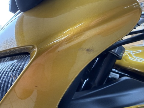 FZS600