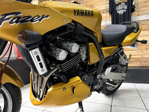 FZS600
