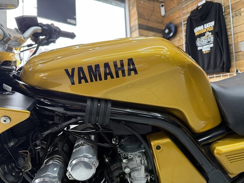 FZS600