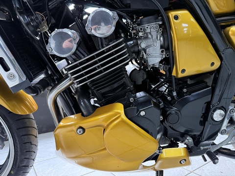 FZS600