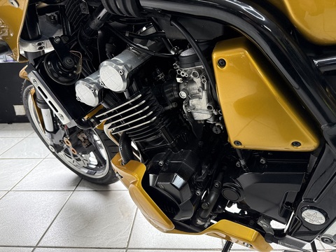 FZS600