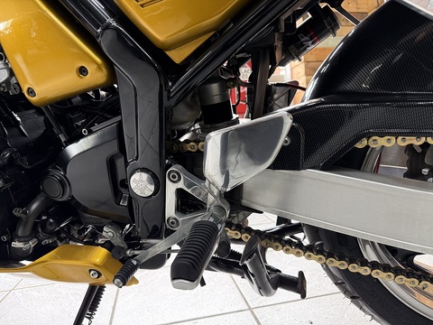 FZS600