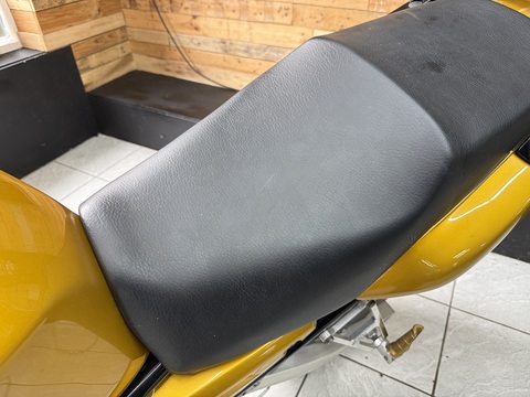 FZS600