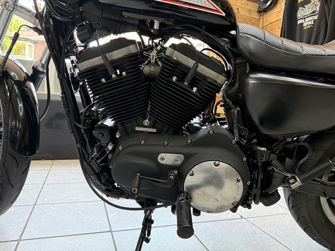 Sportster