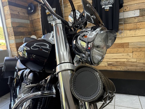 865 Custom Cruiser