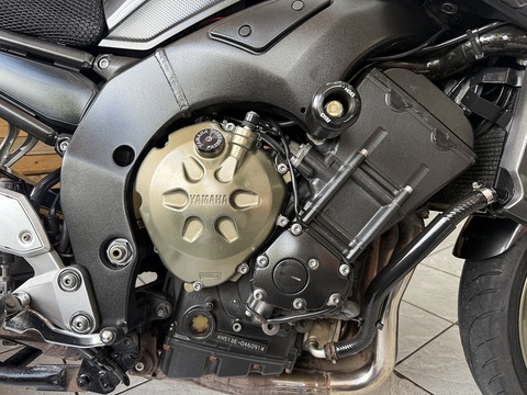 FZ1