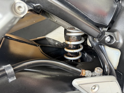 FZ1